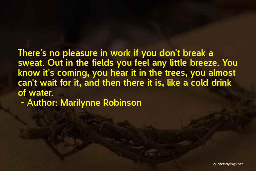 Marilynne Robinson Quotes: There's No Pleasure In Work If You Don't Break A Sweat. Out In The Fields You Feel Any Little Breeze.