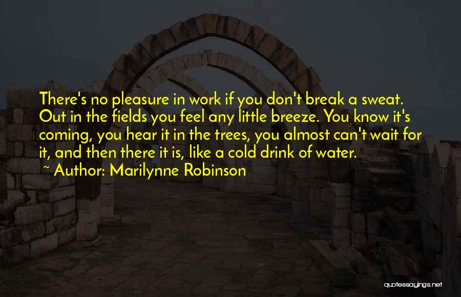 Marilynne Robinson Quotes: There's No Pleasure In Work If You Don't Break A Sweat. Out In The Fields You Feel Any Little Breeze.