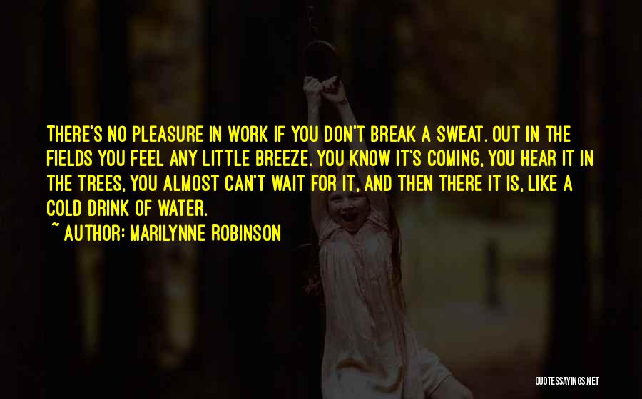 Marilynne Robinson Quotes: There's No Pleasure In Work If You Don't Break A Sweat. Out In The Fields You Feel Any Little Breeze.