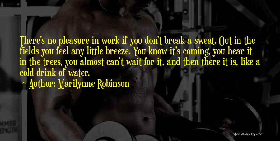 Marilynne Robinson Quotes: There's No Pleasure In Work If You Don't Break A Sweat. Out In The Fields You Feel Any Little Breeze.