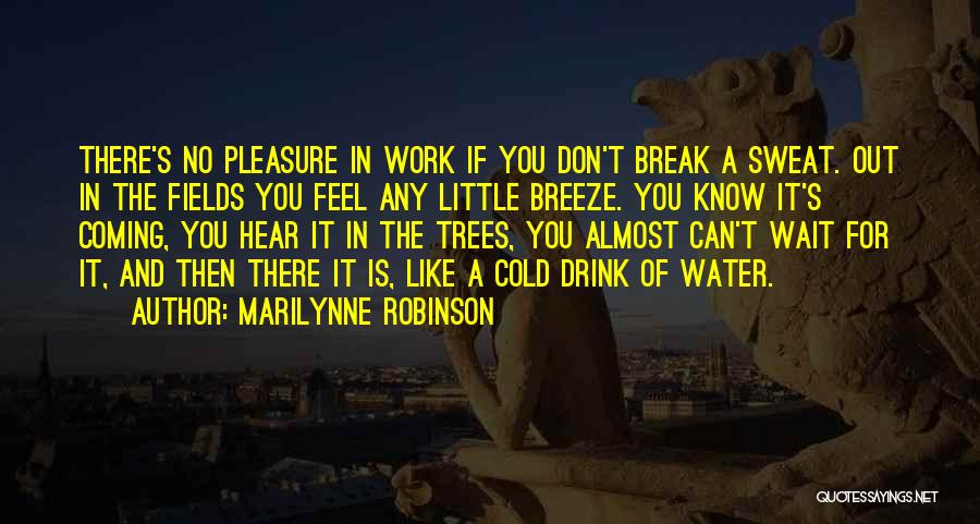 Marilynne Robinson Quotes: There's No Pleasure In Work If You Don't Break A Sweat. Out In The Fields You Feel Any Little Breeze.