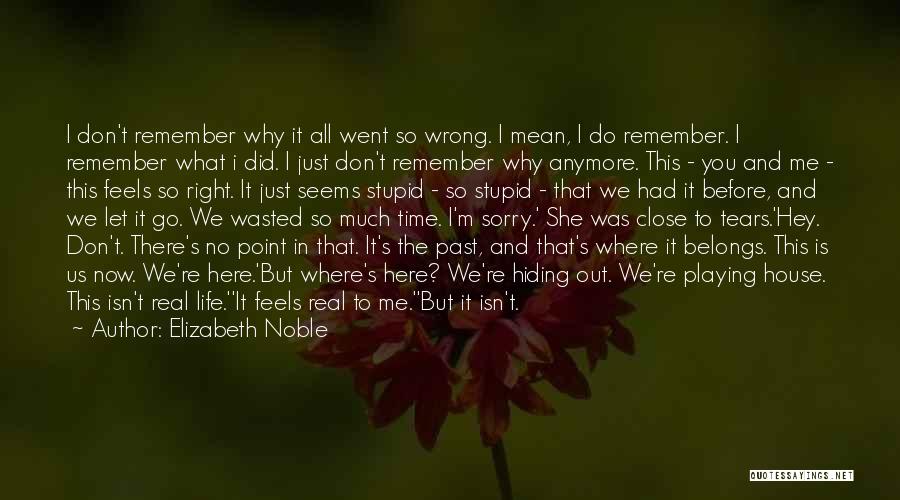 Elizabeth Noble Quotes: I Don't Remember Why It All Went So Wrong. I Mean, I Do Remember. I Remember What I Did. I