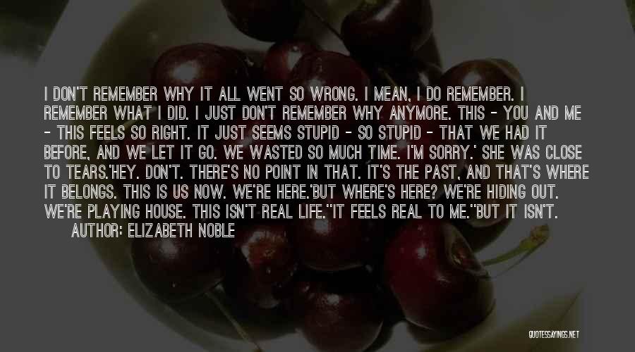 Elizabeth Noble Quotes: I Don't Remember Why It All Went So Wrong. I Mean, I Do Remember. I Remember What I Did. I