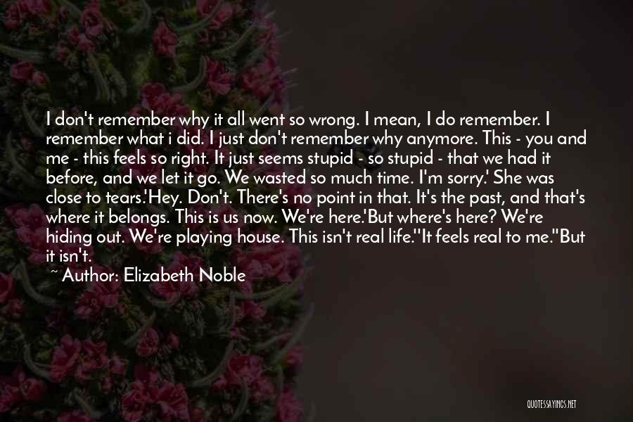 Elizabeth Noble Quotes: I Don't Remember Why It All Went So Wrong. I Mean, I Do Remember. I Remember What I Did. I