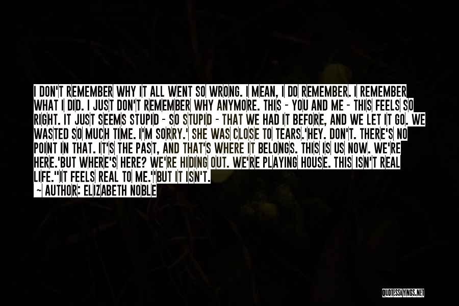 Elizabeth Noble Quotes: I Don't Remember Why It All Went So Wrong. I Mean, I Do Remember. I Remember What I Did. I