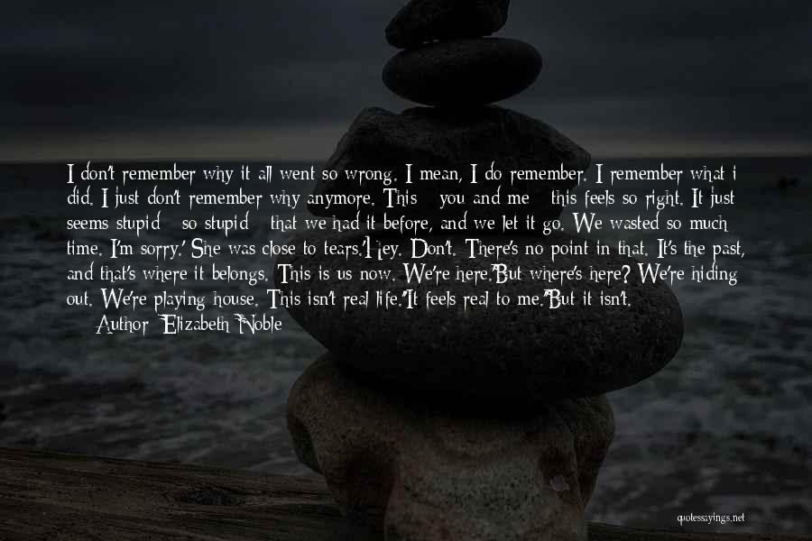 Elizabeth Noble Quotes: I Don't Remember Why It All Went So Wrong. I Mean, I Do Remember. I Remember What I Did. I