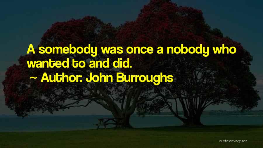 John Burroughs Quotes: A Somebody Was Once A Nobody Who Wanted To And Did.