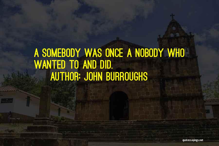 John Burroughs Quotes: A Somebody Was Once A Nobody Who Wanted To And Did.