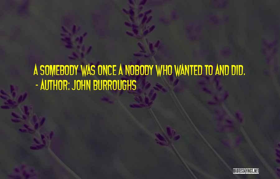 John Burroughs Quotes: A Somebody Was Once A Nobody Who Wanted To And Did.