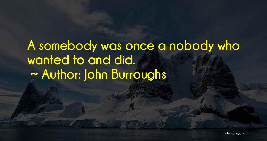 John Burroughs Quotes: A Somebody Was Once A Nobody Who Wanted To And Did.