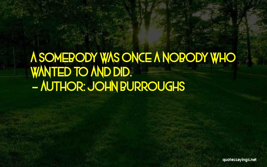 John Burroughs Quotes: A Somebody Was Once A Nobody Who Wanted To And Did.