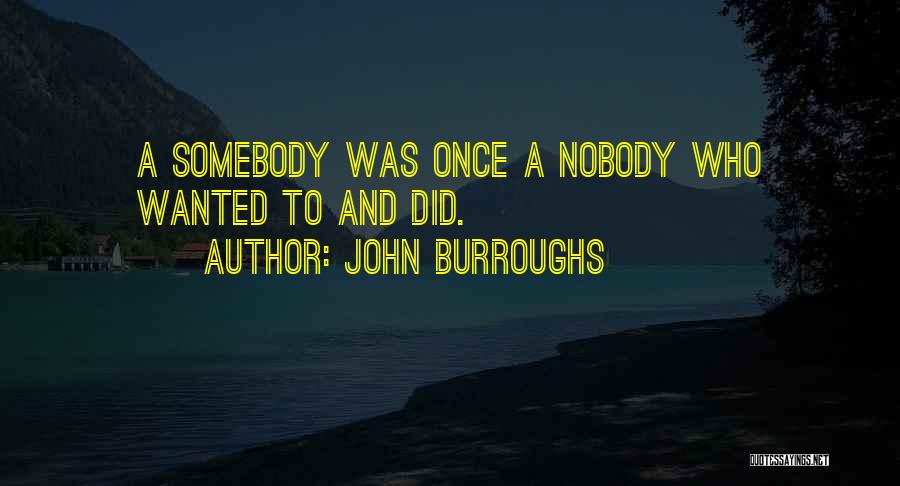 John Burroughs Quotes: A Somebody Was Once A Nobody Who Wanted To And Did.