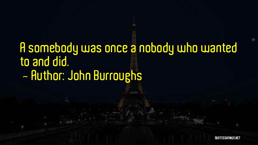 John Burroughs Quotes: A Somebody Was Once A Nobody Who Wanted To And Did.