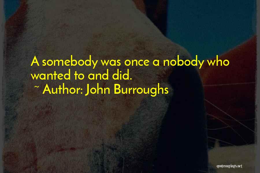 John Burroughs Quotes: A Somebody Was Once A Nobody Who Wanted To And Did.