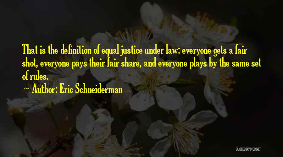 Eric Schneiderman Quotes: That Is The Definition Of Equal Justice Under Law: Everyone Gets A Fair Shot, Everyone Pays Their Fair Share, And