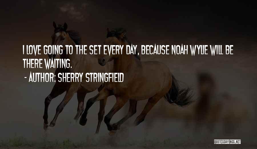 Sherry Stringfield Quotes: I Love Going To The Set Every Day, Because Noah Wylie Will Be There Waiting.