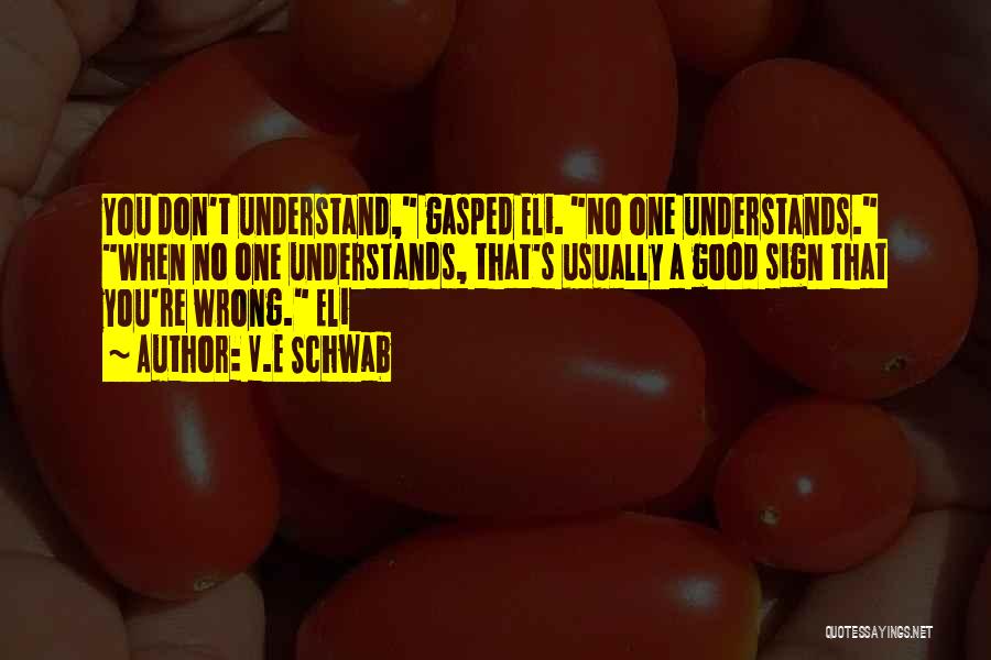 V.E Schwab Quotes: You Don't Understand, Gasped Eli. No One Understands. When No One Understands, That's Usually A Good Sign That You're Wrong.