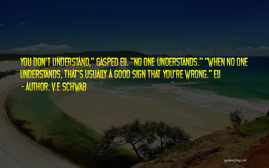 V.E Schwab Quotes: You Don't Understand, Gasped Eli. No One Understands. When No One Understands, That's Usually A Good Sign That You're Wrong.