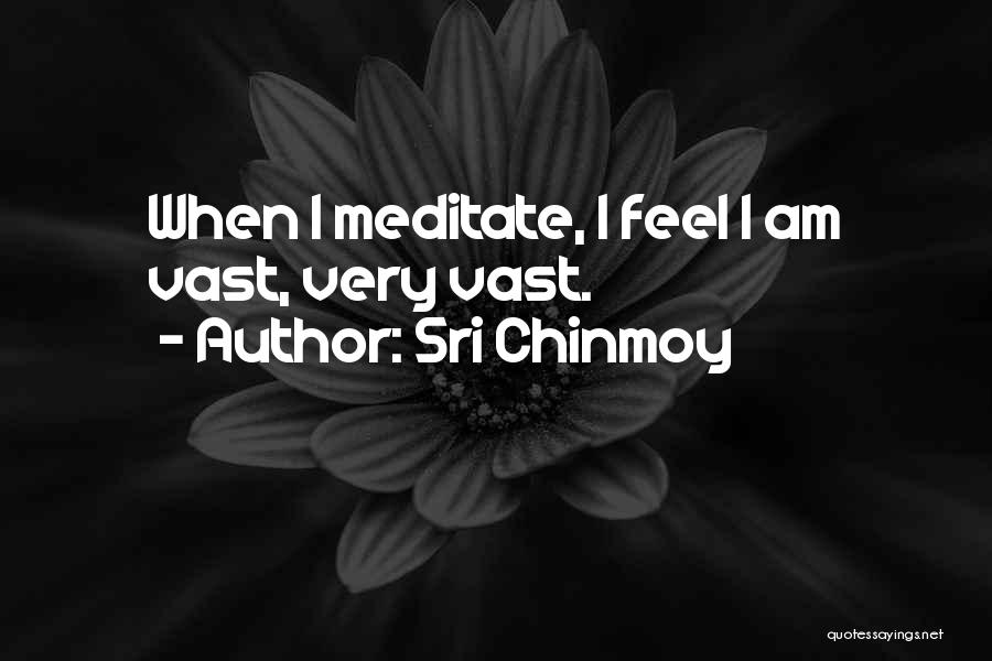 Sri Chinmoy Quotes: When I Meditate, I Feel I Am Vast, Very Vast.