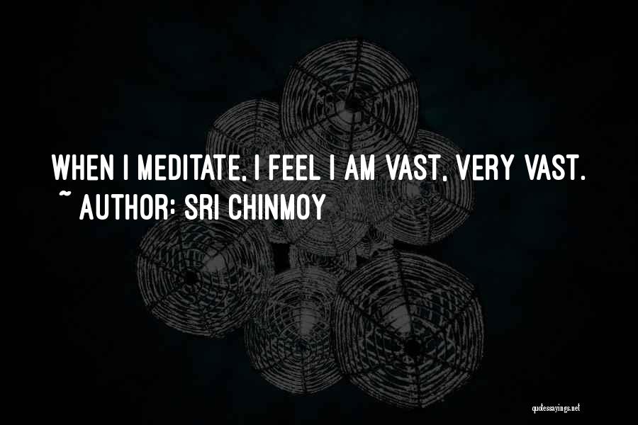 Sri Chinmoy Quotes: When I Meditate, I Feel I Am Vast, Very Vast.