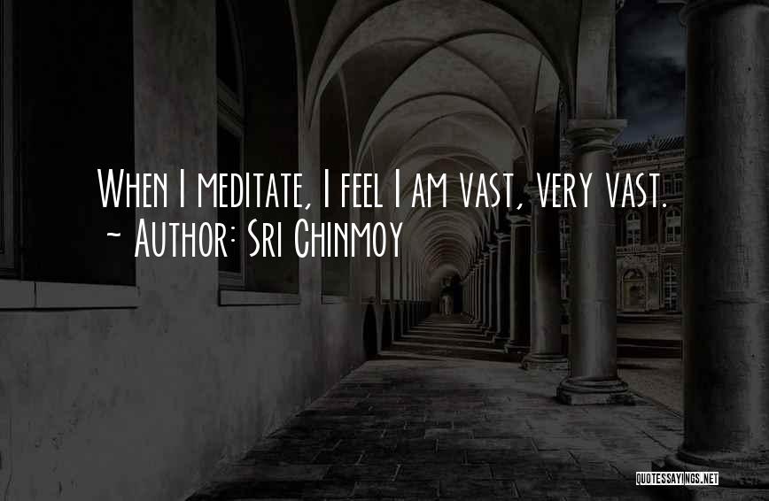 Sri Chinmoy Quotes: When I Meditate, I Feel I Am Vast, Very Vast.