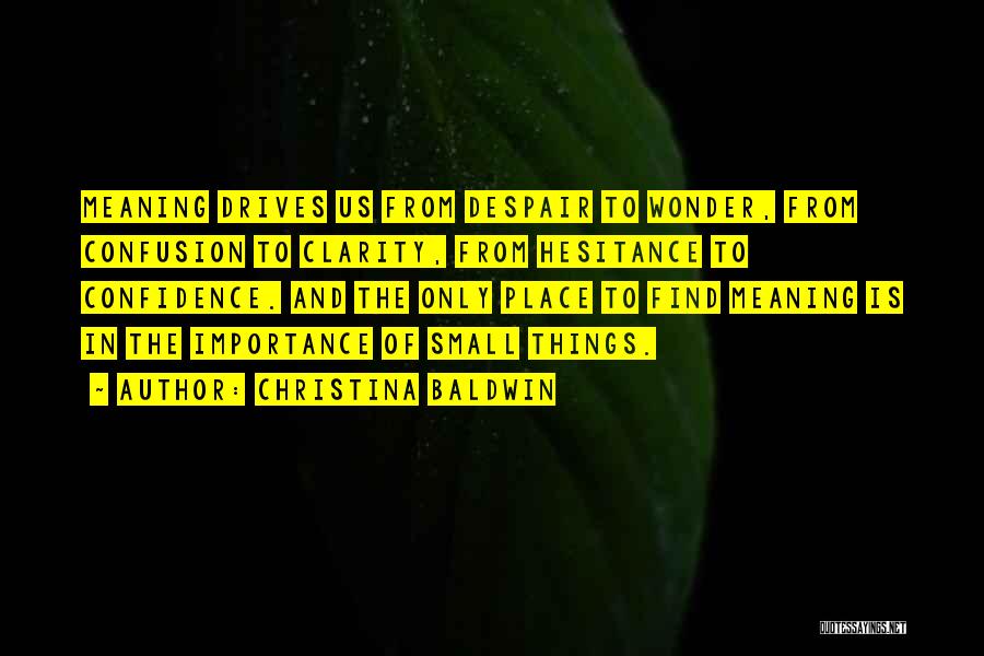 Christina Baldwin Quotes: Meaning Drives Us From Despair To Wonder, From Confusion To Clarity, From Hesitance To Confidence. And The Only Place To