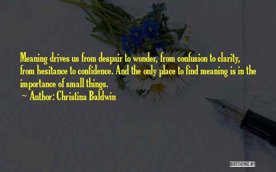 Christina Baldwin Quotes: Meaning Drives Us From Despair To Wonder, From Confusion To Clarity, From Hesitance To Confidence. And The Only Place To