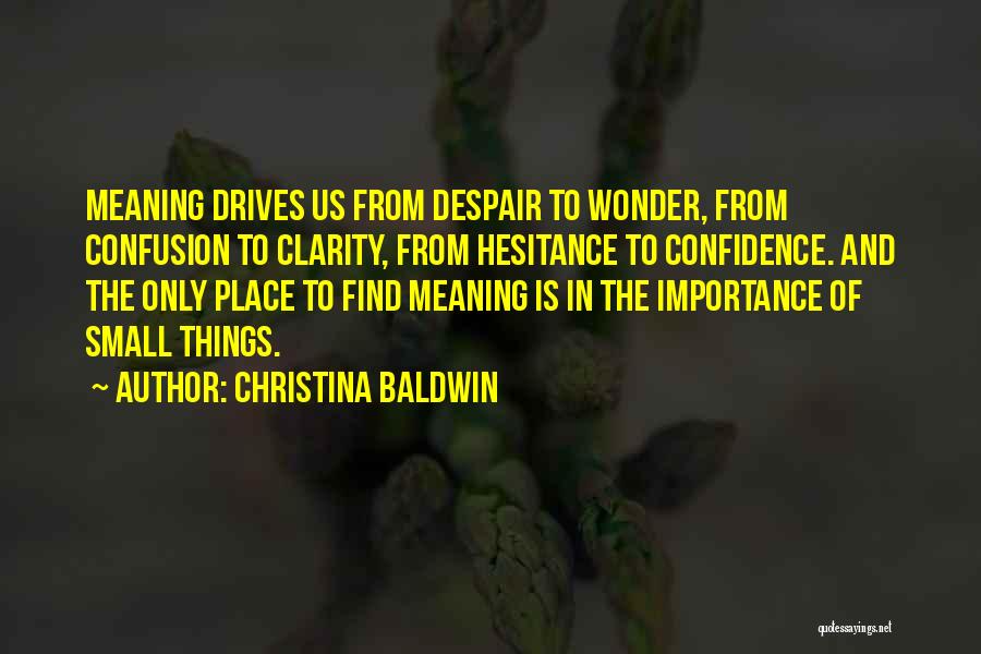 Christina Baldwin Quotes: Meaning Drives Us From Despair To Wonder, From Confusion To Clarity, From Hesitance To Confidence. And The Only Place To