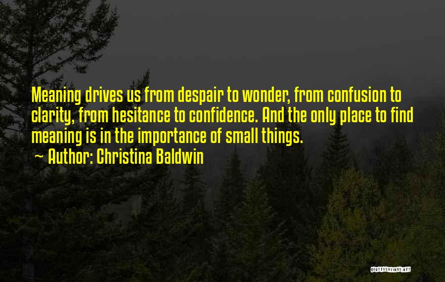 Christina Baldwin Quotes: Meaning Drives Us From Despair To Wonder, From Confusion To Clarity, From Hesitance To Confidence. And The Only Place To