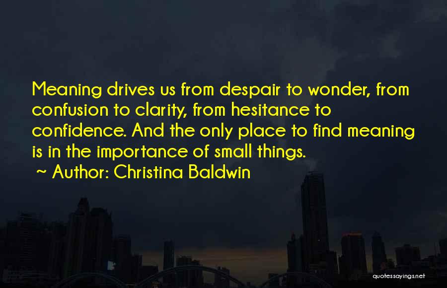 Christina Baldwin Quotes: Meaning Drives Us From Despair To Wonder, From Confusion To Clarity, From Hesitance To Confidence. And The Only Place To