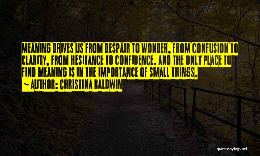 Christina Baldwin Quotes: Meaning Drives Us From Despair To Wonder, From Confusion To Clarity, From Hesitance To Confidence. And The Only Place To