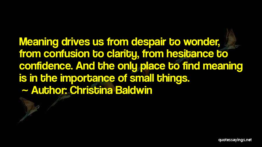 Christina Baldwin Quotes: Meaning Drives Us From Despair To Wonder, From Confusion To Clarity, From Hesitance To Confidence. And The Only Place To