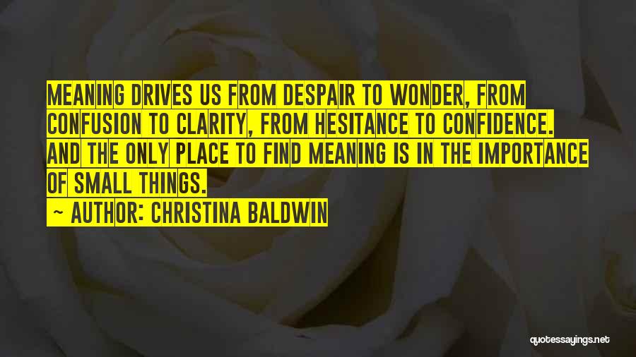 Christina Baldwin Quotes: Meaning Drives Us From Despair To Wonder, From Confusion To Clarity, From Hesitance To Confidence. And The Only Place To