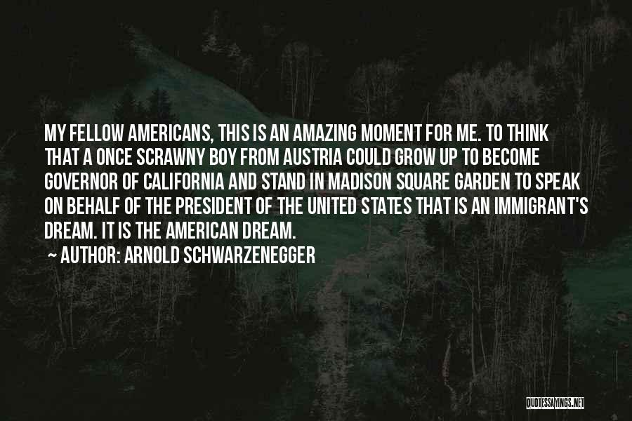 Arnold Schwarzenegger Quotes: My Fellow Americans, This Is An Amazing Moment For Me. To Think That A Once Scrawny Boy From Austria Could