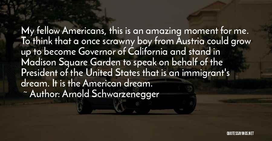 Arnold Schwarzenegger Quotes: My Fellow Americans, This Is An Amazing Moment For Me. To Think That A Once Scrawny Boy From Austria Could