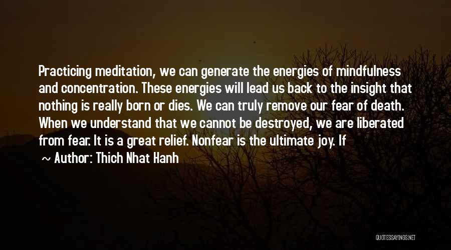 Thich Nhat Hanh Quotes: Practicing Meditation, We Can Generate The Energies Of Mindfulness And Concentration. These Energies Will Lead Us Back To The Insight