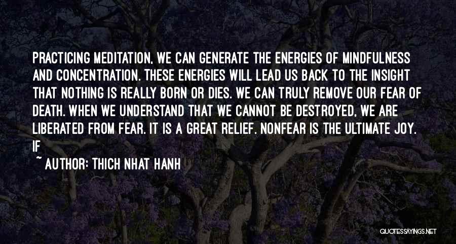 Thich Nhat Hanh Quotes: Practicing Meditation, We Can Generate The Energies Of Mindfulness And Concentration. These Energies Will Lead Us Back To The Insight