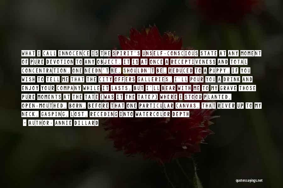 Annie Dillard Quotes: What I Call Innocence Is The Spirit's Unself-conscious State At Any Moment Of Pure Devotion To Any Object. It Is