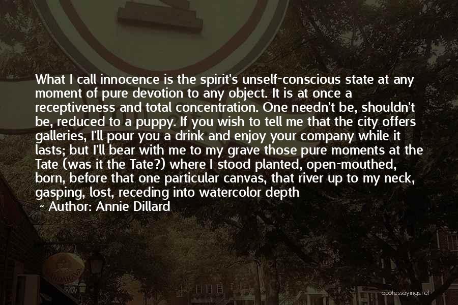 Annie Dillard Quotes: What I Call Innocence Is The Spirit's Unself-conscious State At Any Moment Of Pure Devotion To Any Object. It Is