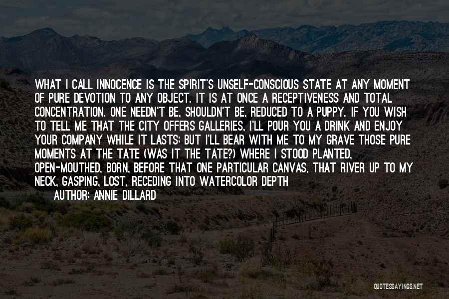 Annie Dillard Quotes: What I Call Innocence Is The Spirit's Unself-conscious State At Any Moment Of Pure Devotion To Any Object. It Is