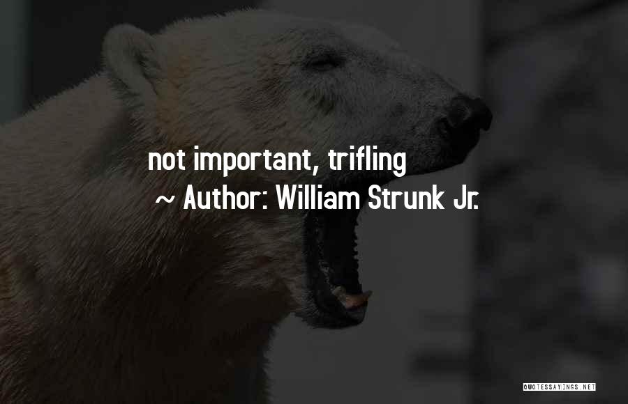 William Strunk Jr. Quotes: Not Important, Trifling