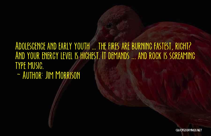 Jim Morrison Quotes: Adolescence And Early Youth ... The Fires Are Burning Fastest, Right? And Your Energy Level Is Highest. It Demands ...