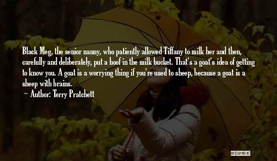 Terry Pratchett Quotes: Black Meg, The Senior Nanny, Who Patiently Allowed Tiffany To Milk Her And Then, Carefully And Deliberately, Put A Hoof