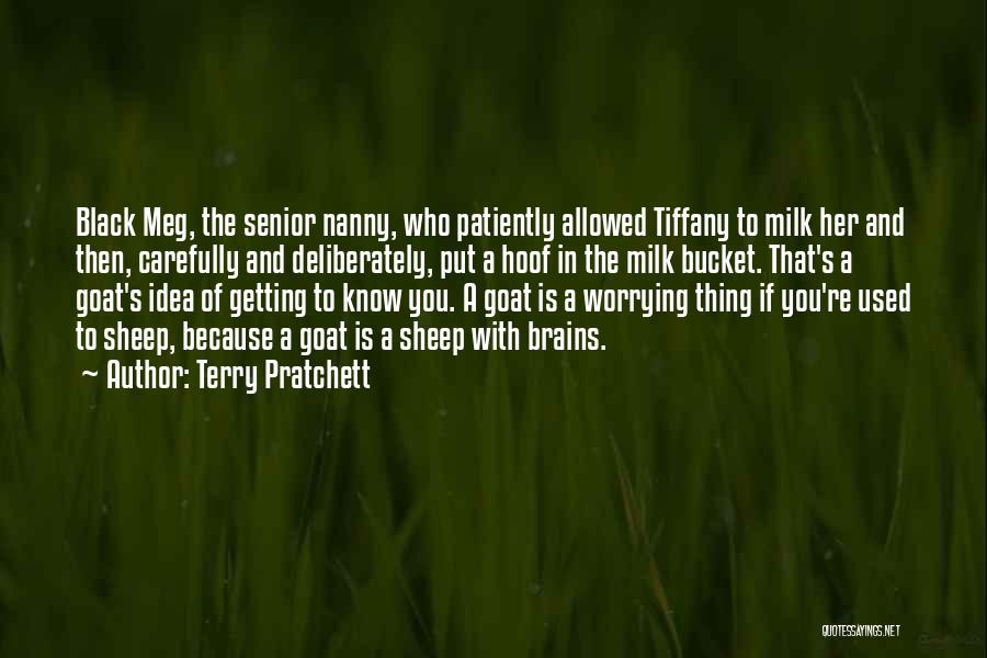 Terry Pratchett Quotes: Black Meg, The Senior Nanny, Who Patiently Allowed Tiffany To Milk Her And Then, Carefully And Deliberately, Put A Hoof