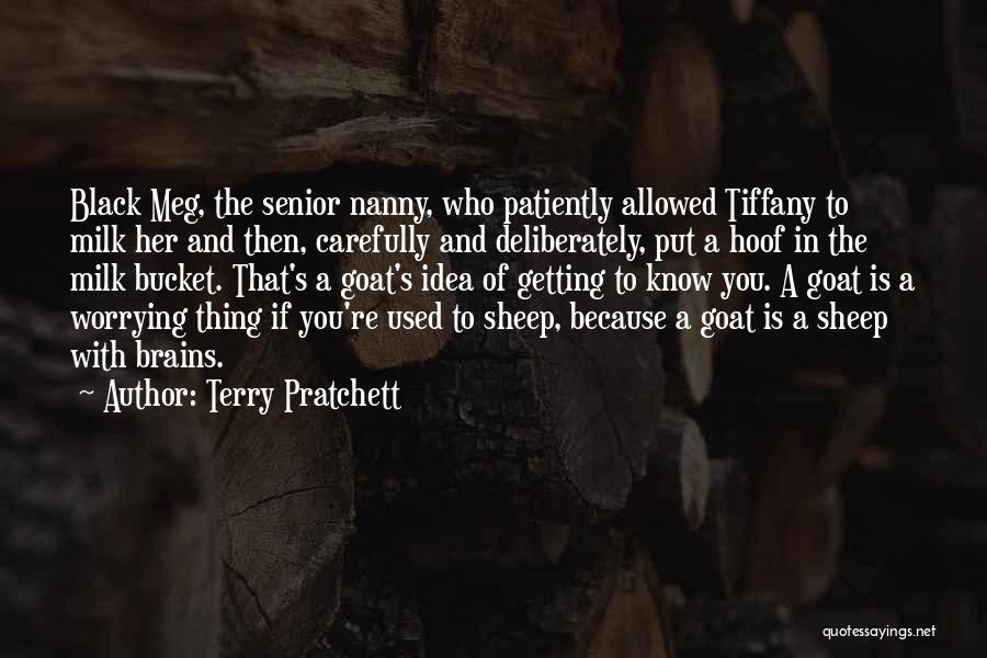 Terry Pratchett Quotes: Black Meg, The Senior Nanny, Who Patiently Allowed Tiffany To Milk Her And Then, Carefully And Deliberately, Put A Hoof