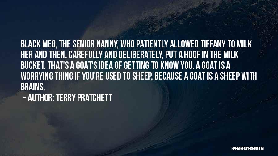 Terry Pratchett Quotes: Black Meg, The Senior Nanny, Who Patiently Allowed Tiffany To Milk Her And Then, Carefully And Deliberately, Put A Hoof