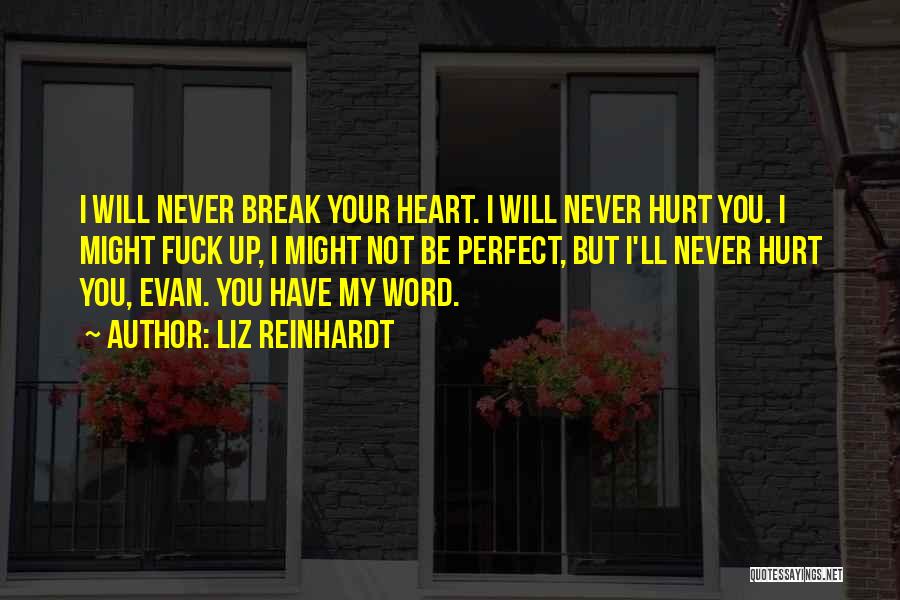 Liz Reinhardt Quotes: I Will Never Break Your Heart. I Will Never Hurt You. I Might Fuck Up, I Might Not Be Perfect,