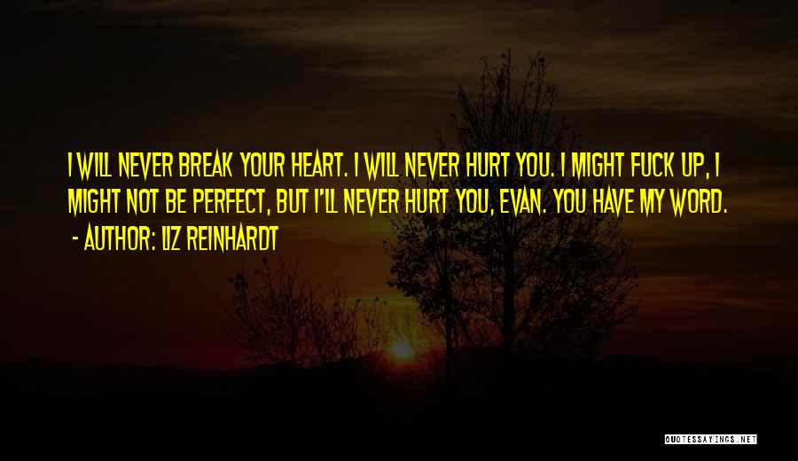 Liz Reinhardt Quotes: I Will Never Break Your Heart. I Will Never Hurt You. I Might Fuck Up, I Might Not Be Perfect,