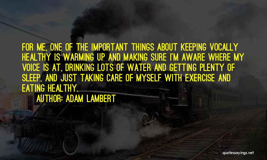 Adam Lambert Quotes: For Me, One Of The Important Things About Keeping Vocally Healthy Is Warming Up And Making Sure I'm Aware Where