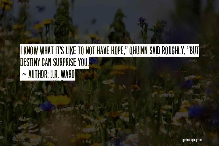J.R. Ward Quotes: I Know What It's Like To Not Have Hope, Qhuinn Said Roughly. But Destiny Can Surprise You.